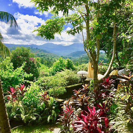 Gunung Paradis Retreat Munduk  Exterior photo